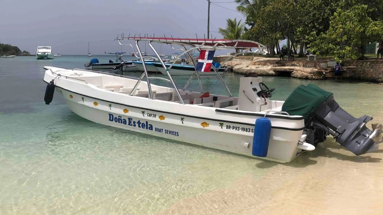 Insel Saona: Bootsfahrt zu Stränden und natürlichen Pools mit Mittagessen — Guided tour and outdoor activity