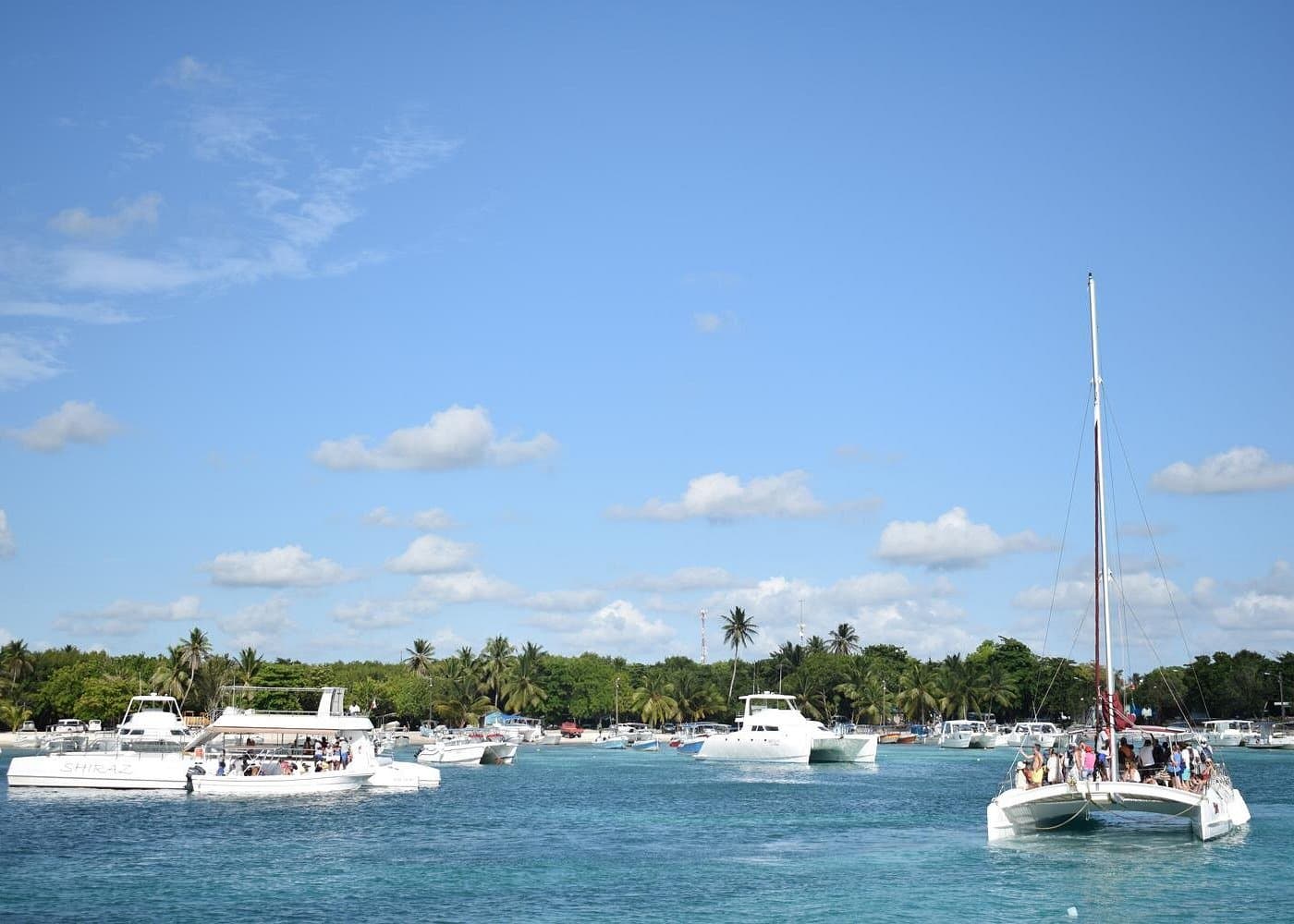 Bir Yolcu Gemisinden Saona Adası: Geziler ve Planlama İpuçları - Dominican Place Guide