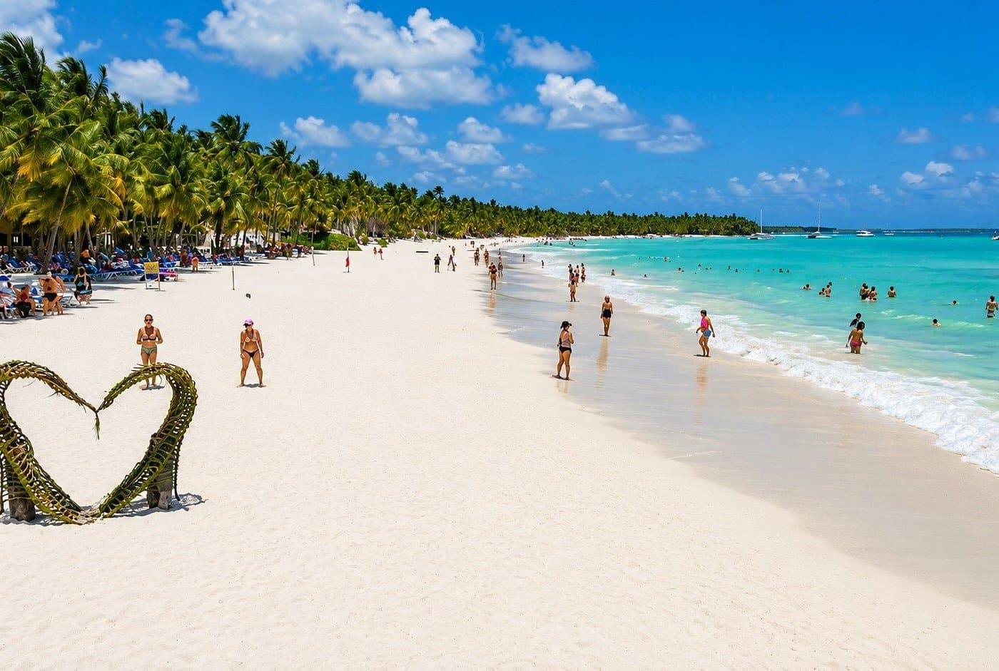 Stele de mare de pe insula Saona: Unde să le vezi și să le protejezi - Dominican Place Guide